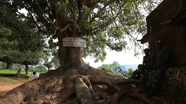 Deux militaires des FARDC en tenue de camouflage montent la garde, arme à la main, devant un bâtiment administratif de la ville de Beni, au Nord-Kivu.