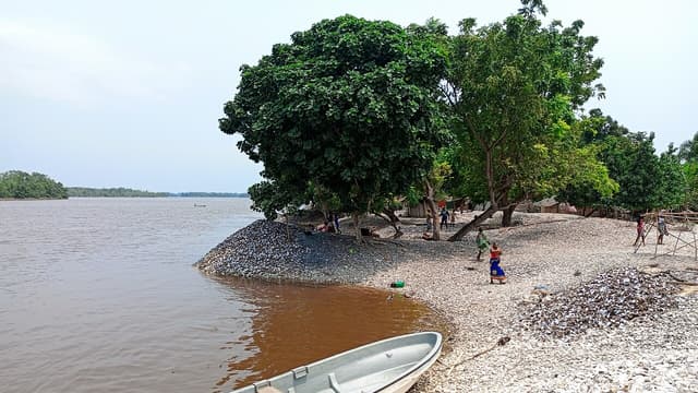 Baleine de Muanda : le gouvernement prévoit l'exhumation du squelette pour la science et le tourisme