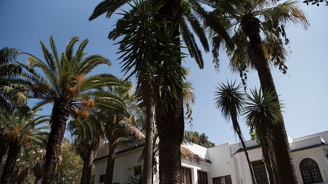 En Algérie, qui sont les fidèles parmi les fidèles d'Abdelmadjid Tebboune ?