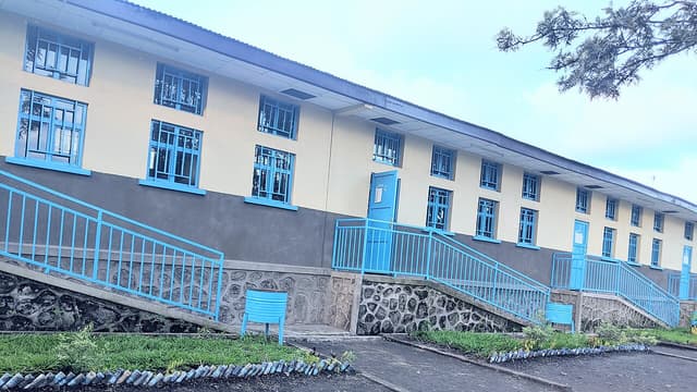 Nord - Kivu : Delly Sesanga dénonce l'imposition des frais scolaires par l'AFC/M23 dans les écoles primaires