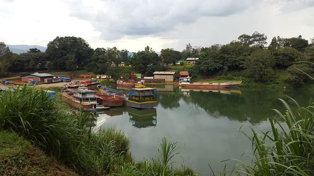 Rubaya et Lomera : Amnesty documente dix-huit creuseurs tués et une route de l'or vers le Rwanda