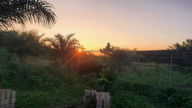 Kisangani : position stratégique, ressources et histoire politique