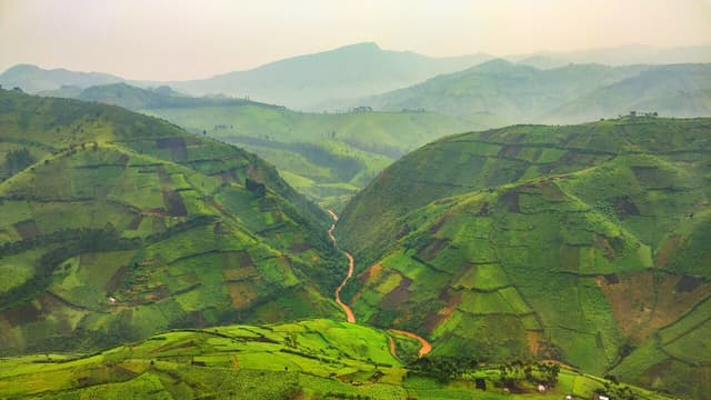Des centaines d'hectares de cultures et de forêts détruits par des groupes armés à Masisi, selon la société civile