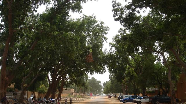 Hôtellerie au Sahel : adaptation face à la crise sécuritaire et au recul de l'aide