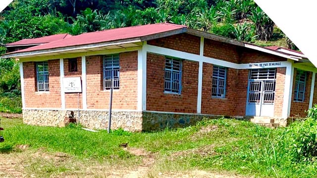 Walikale : la communauté Chankuba Beya Taku interdit l'exploitation minière dans sa concession forestière