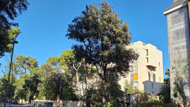 Meryem Aboulouafa au festival Les Escales de Saint-Nazaire : une voix pour la liberté