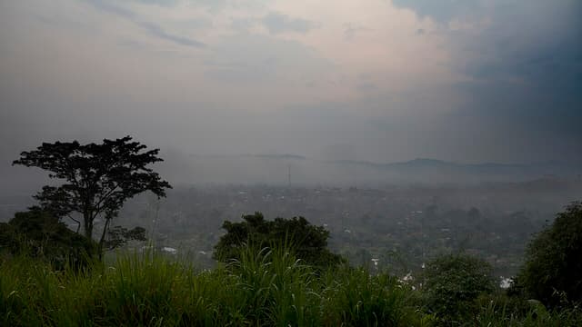 29 combattants de l'AFC/M23 se rendent aux FARDC et aux Wazalendo en quatre jours au Nord-Kivu