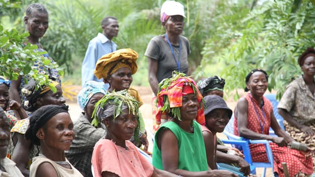 Journée internationale de la femme rurale : les maraîchères de Kinshasa confrontées aux effets des fortes pluies