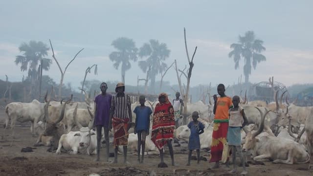 Soudan du Sud : attaque meurtrière à Rumbek, 71 morts selon le gouvernement