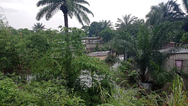 Après trois années d'inondations, pourquoi Kinshasa reste-t-elle aussi vulnérable ?