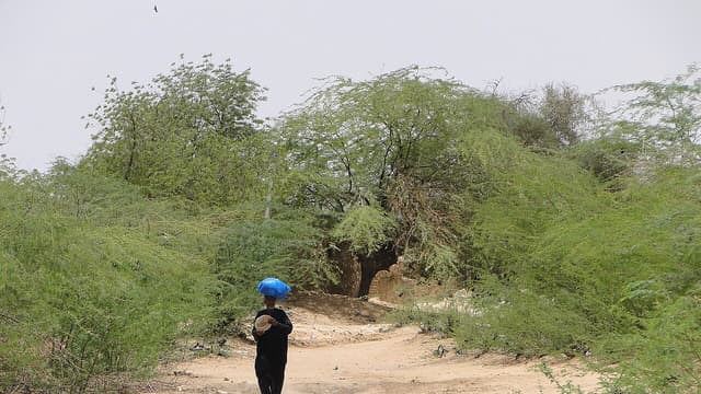Sahel : le nombre de déplacés a presque doublé depuis 2020 selon le HCR