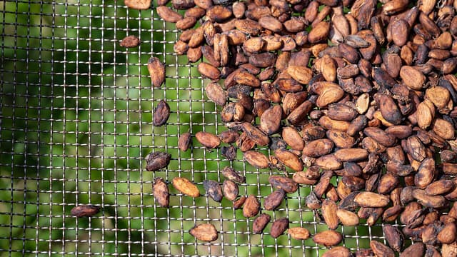 Cacao : pourquoi l'alliance entre la Côte d'Ivoire et le Ghana vacille