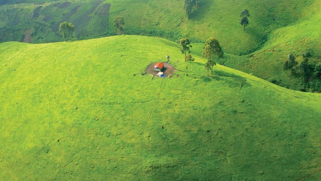 Nord-Kivu : Pinga sans réseau Vodacom depuis près de deux semaines
