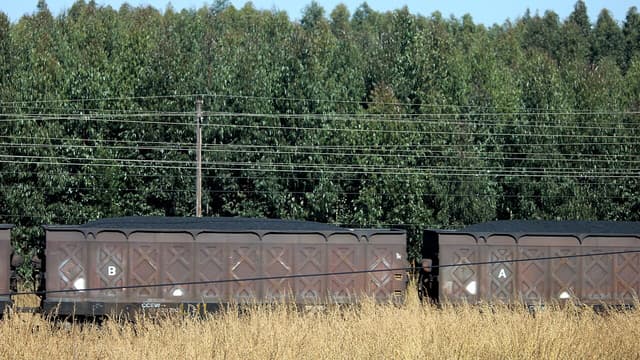 Afrique australe : les exportations de charbon bondissent selon RFI