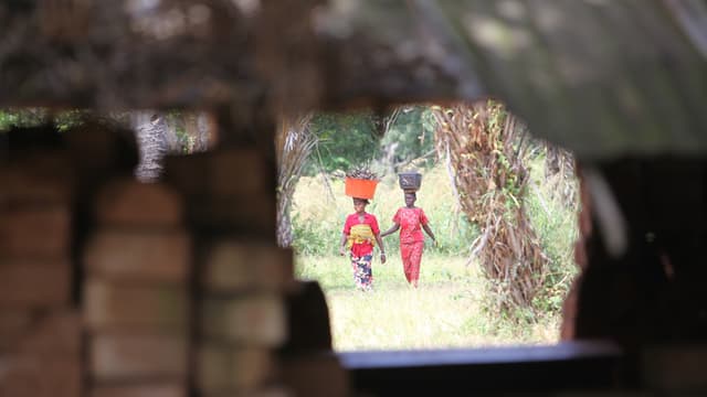 Hausse des prix du riz et du manioc sur les marchés de Kindu