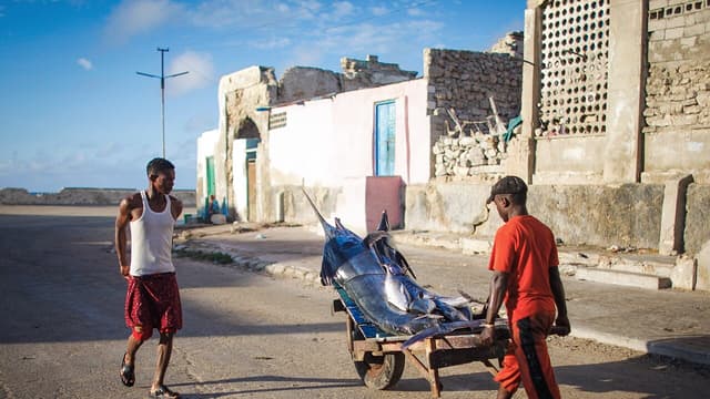Accord Somalie-Chine : exportation de poisson sans droits de douane, inquiétudes sur la pêche illégale