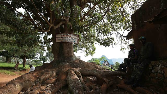 Incendie près de la mairie de Beni : plusieurs magasins détruits, la MONUSCO intervient