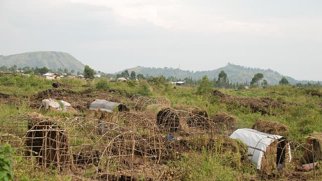 Des déplacés regagnent timidement leurs villages malgré une situation sécuritaire fragile à Masisi