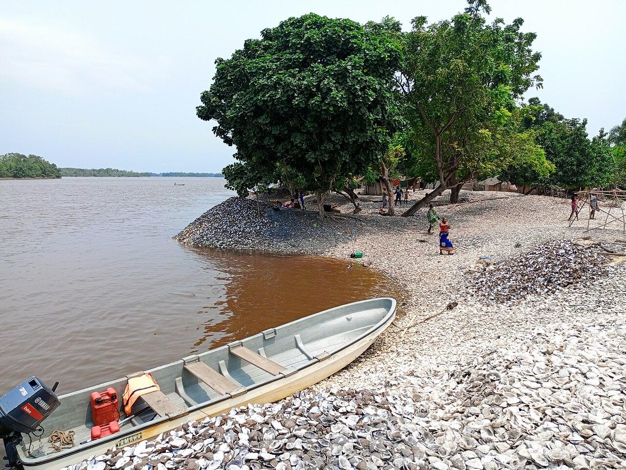 Baleine de Muanda : le gouvernement prévoit l'exhumation du squelette pour la science et le tourisme