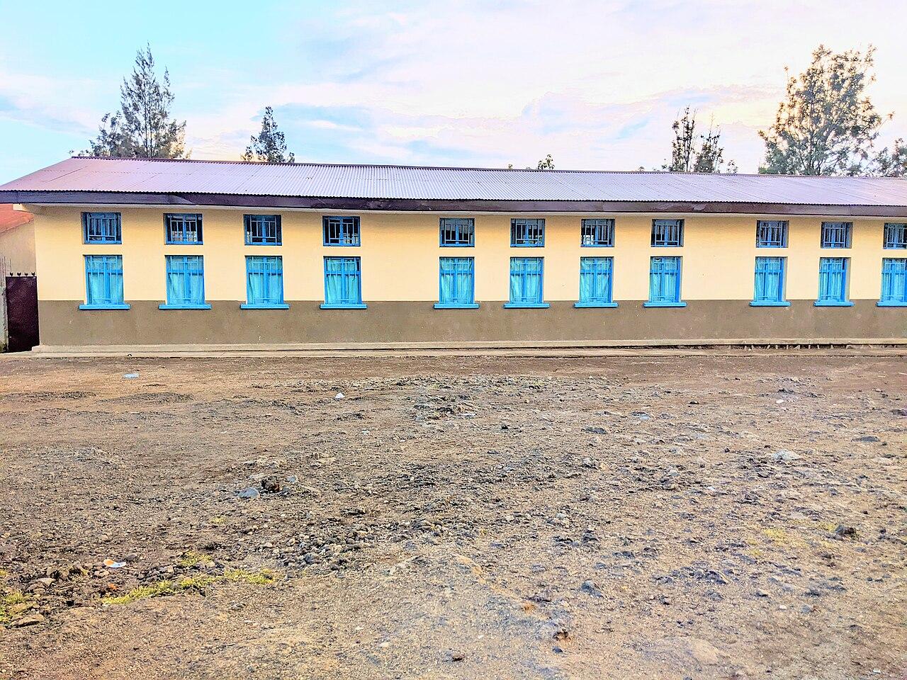 Delly Sesanga dénonce les frais scolaires imposés par l'AFC/M23 au Nord-Kivu