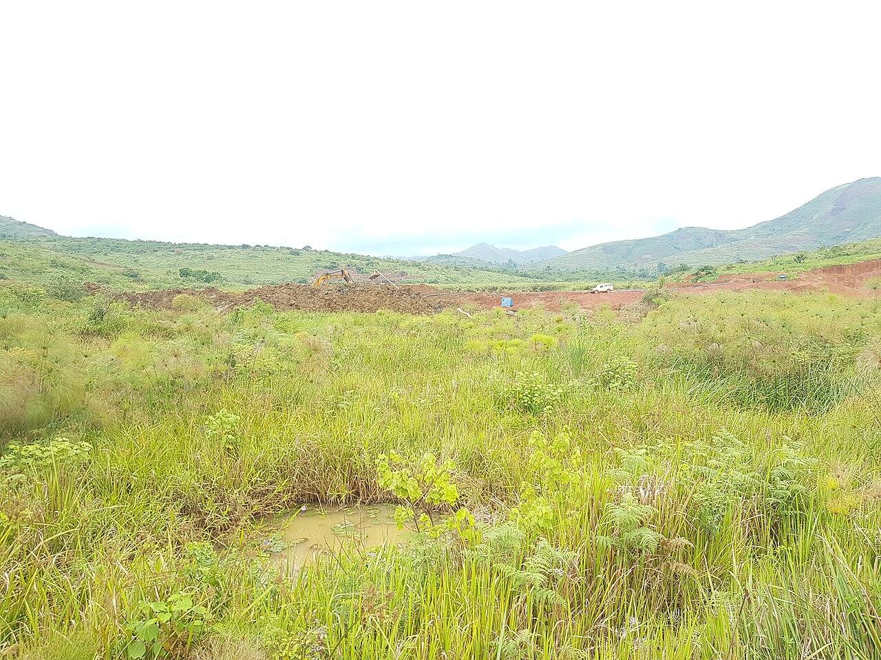 Ituri : les FARDC lancent une opération contre la CRP après l'attaque d'un site minier à Nyampala