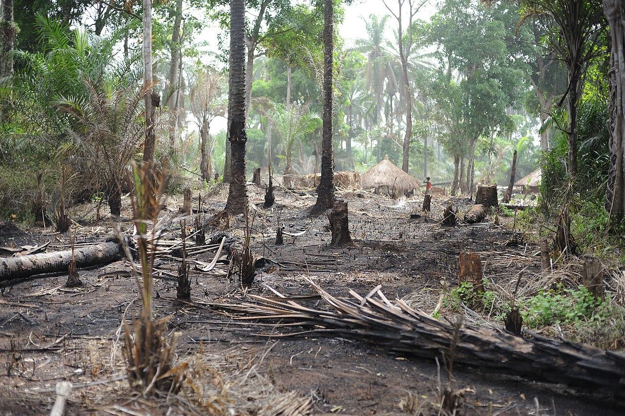 Haut-Uélé : 10 000 déplacés sans assistance à Watsa et Wamba depuis mai