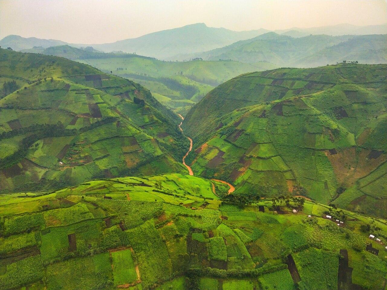 Des centaines d'hectares de cultures et de forêts détruits par des groupes armés à Masisi, selon la société civile
