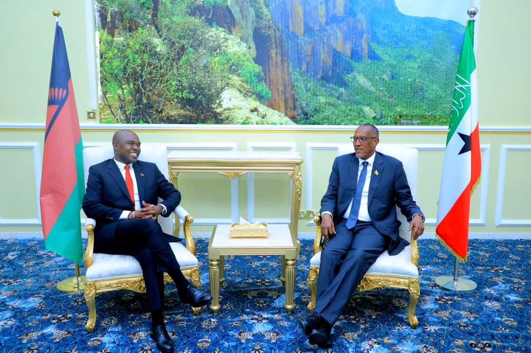 Somaliland mène un lobbying à l'ONU pour obtenir de nouvelles reconnaissances internationales