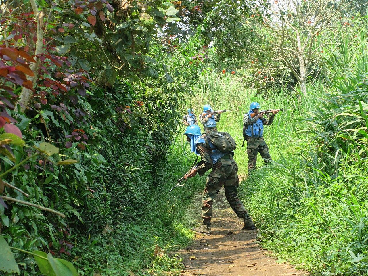 Afflux de déplacés à Walikale face aux combats FARDC-AFC/M23