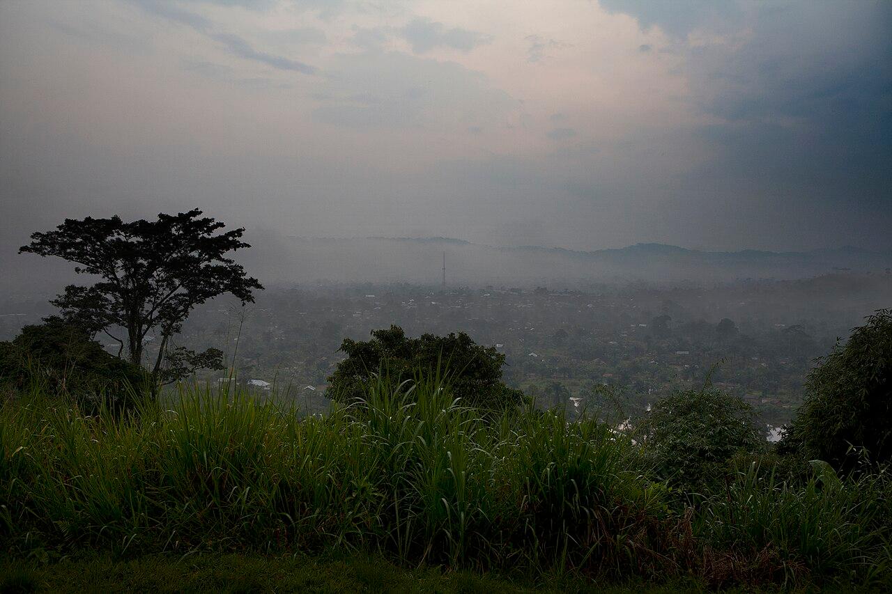 29 combattants de l'AFC/M23 se rendent aux FARDC et aux Wazalendo en quatre jours au Nord-Kivu