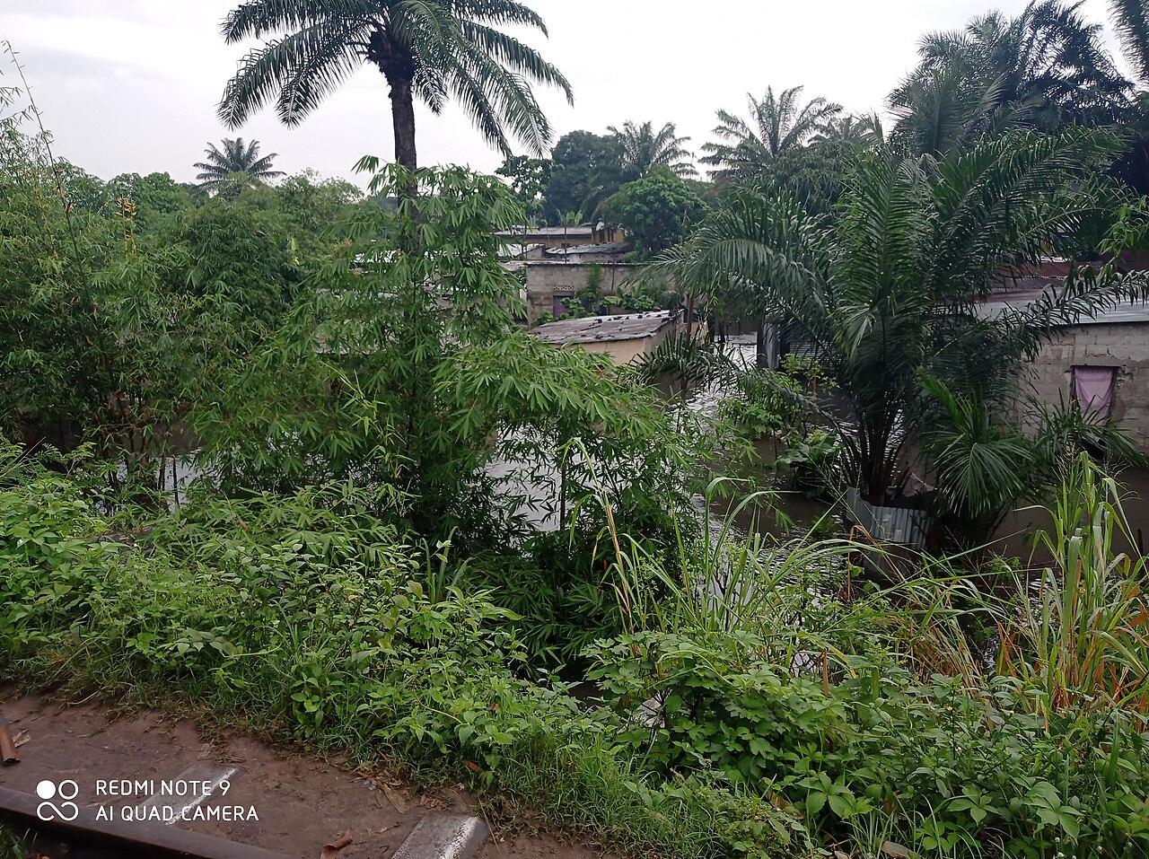 Après trois années d'inondations, pourquoi Kinshasa reste-t-elle aussi vulnérable ?
