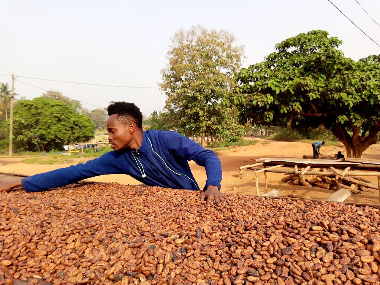 Le Ghana vise l'interdiction des exportations de matières premières d'ici à 2030