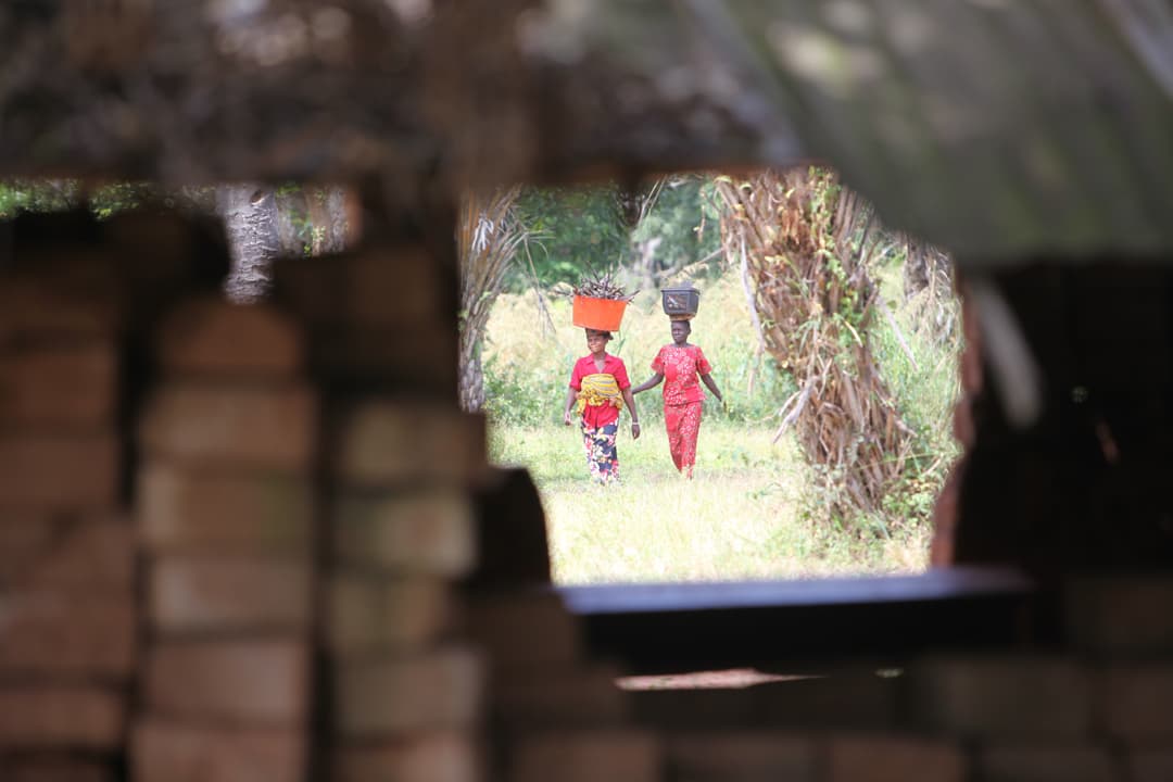 Hausse des prix du riz et du manioc sur les marchés de Kindu