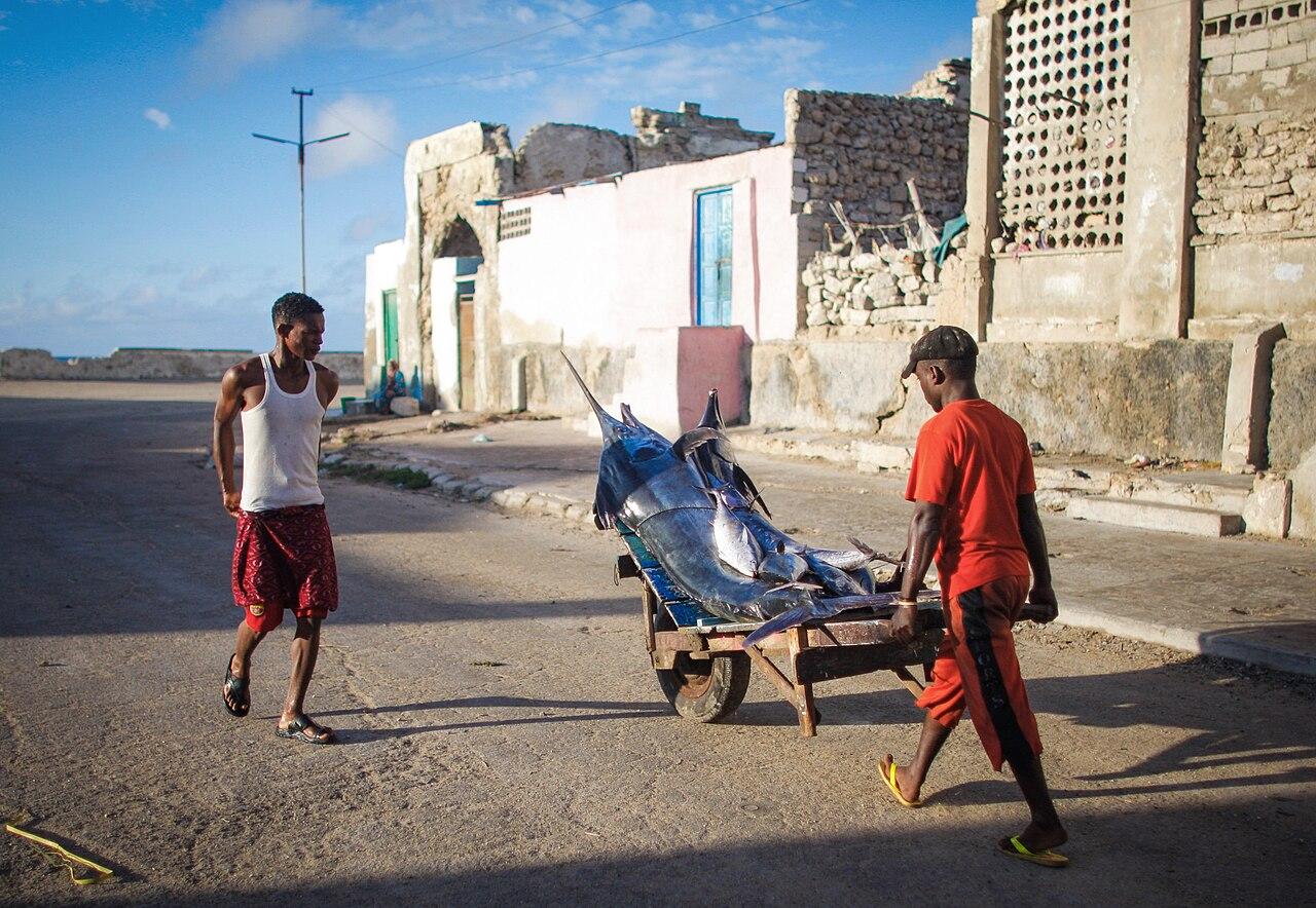 Accord Somalie-Chine : exportation de poisson sans droits de douane, inquiétudes sur la pêche illégale