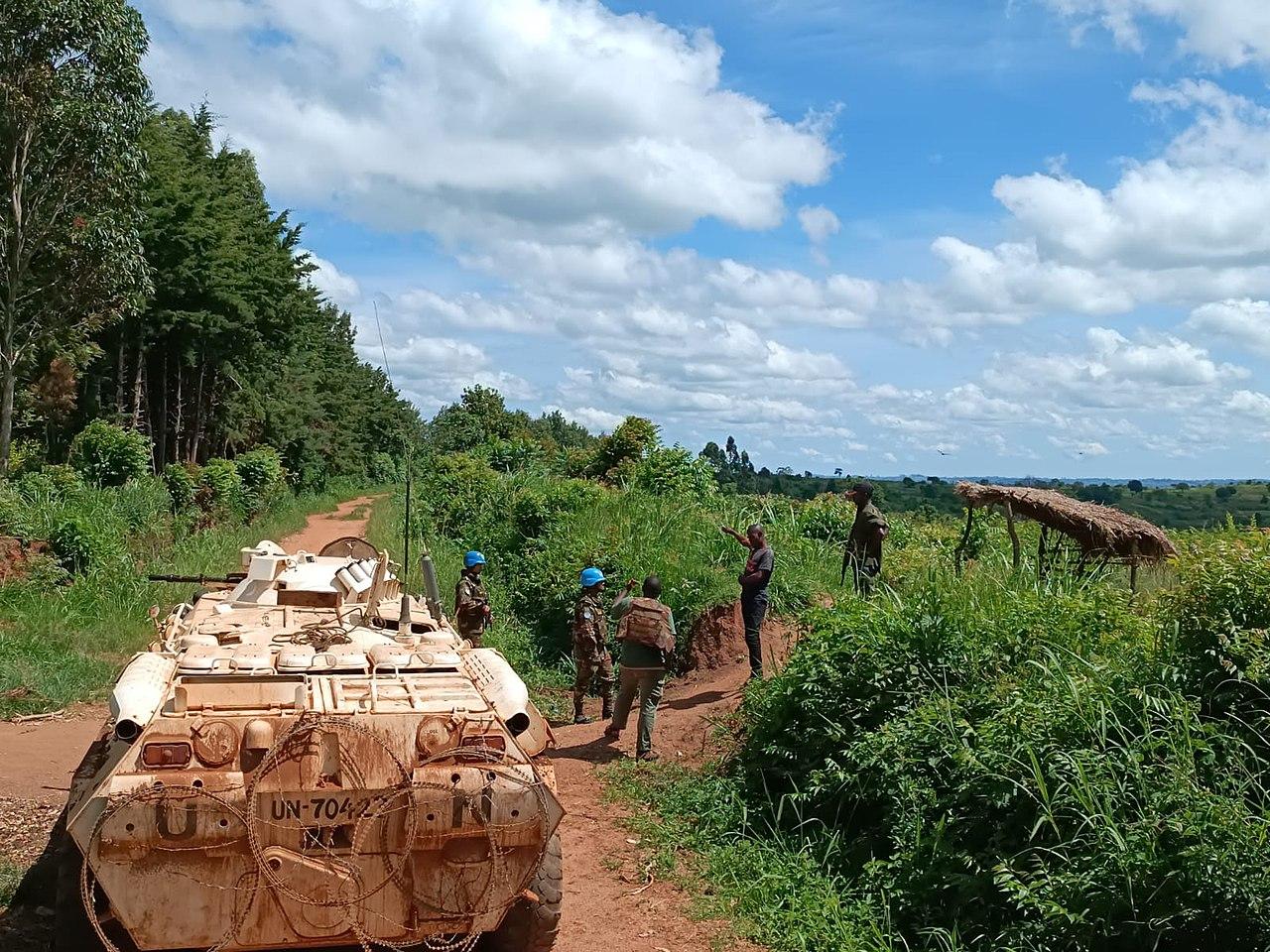 Les FARDC dénoncent des violations du cessez-le-feu à Djugu